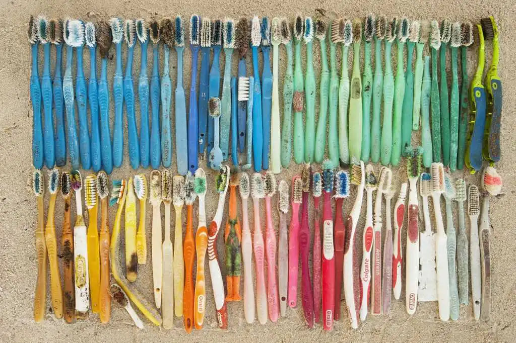 The Alarming Environmental Cost of Plastic Toothbrushes